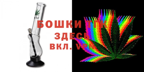 PSILOCYBIN Беломорск